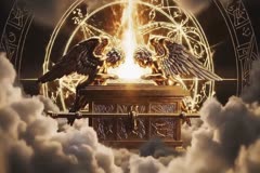 TV Content Image